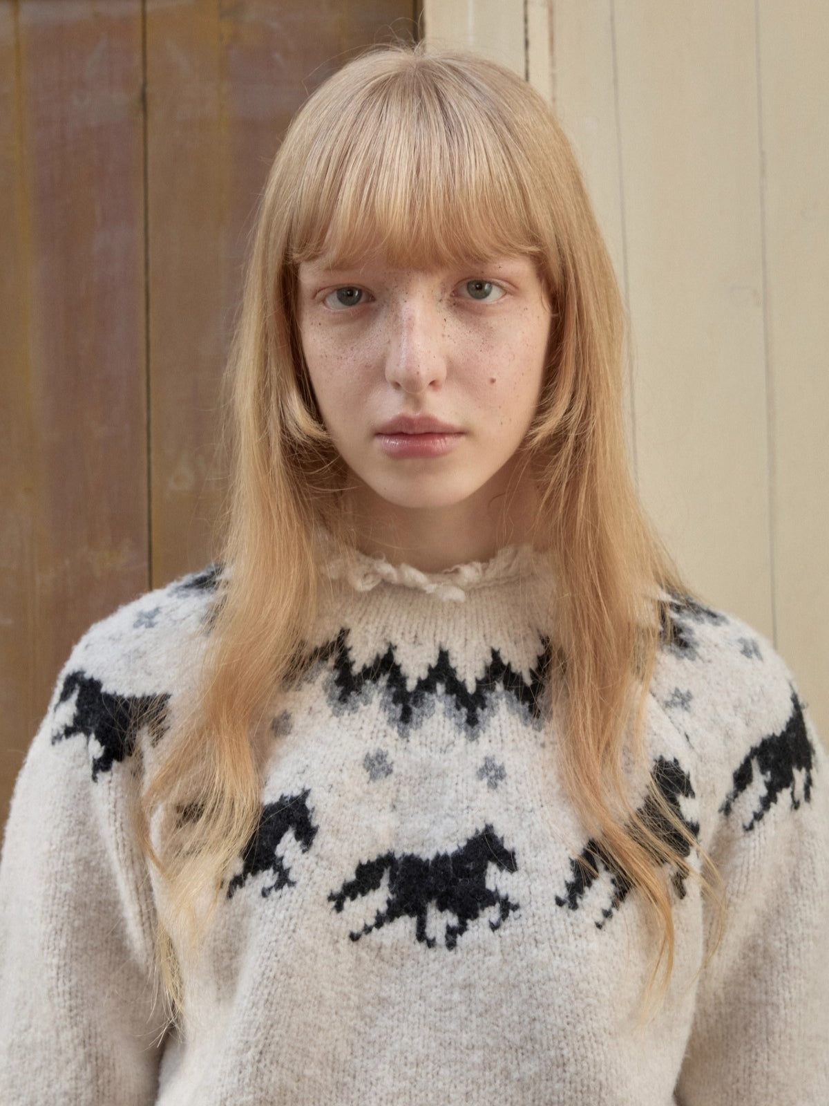 Fair Isle Pony Jacquard Chunky Knit Sweater