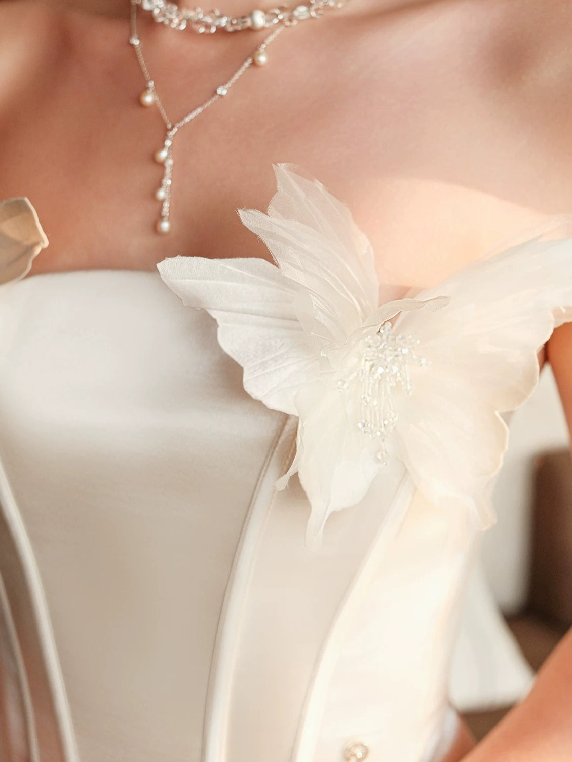 Butterfly Corset Skirt Set