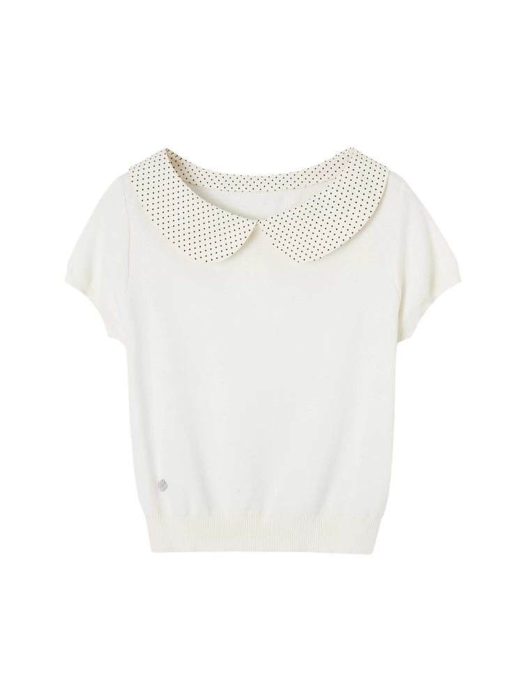 Collar Knit Tee