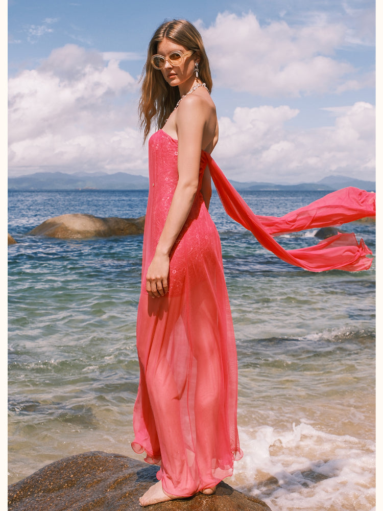 Netting Skirt Lace Backless Dress