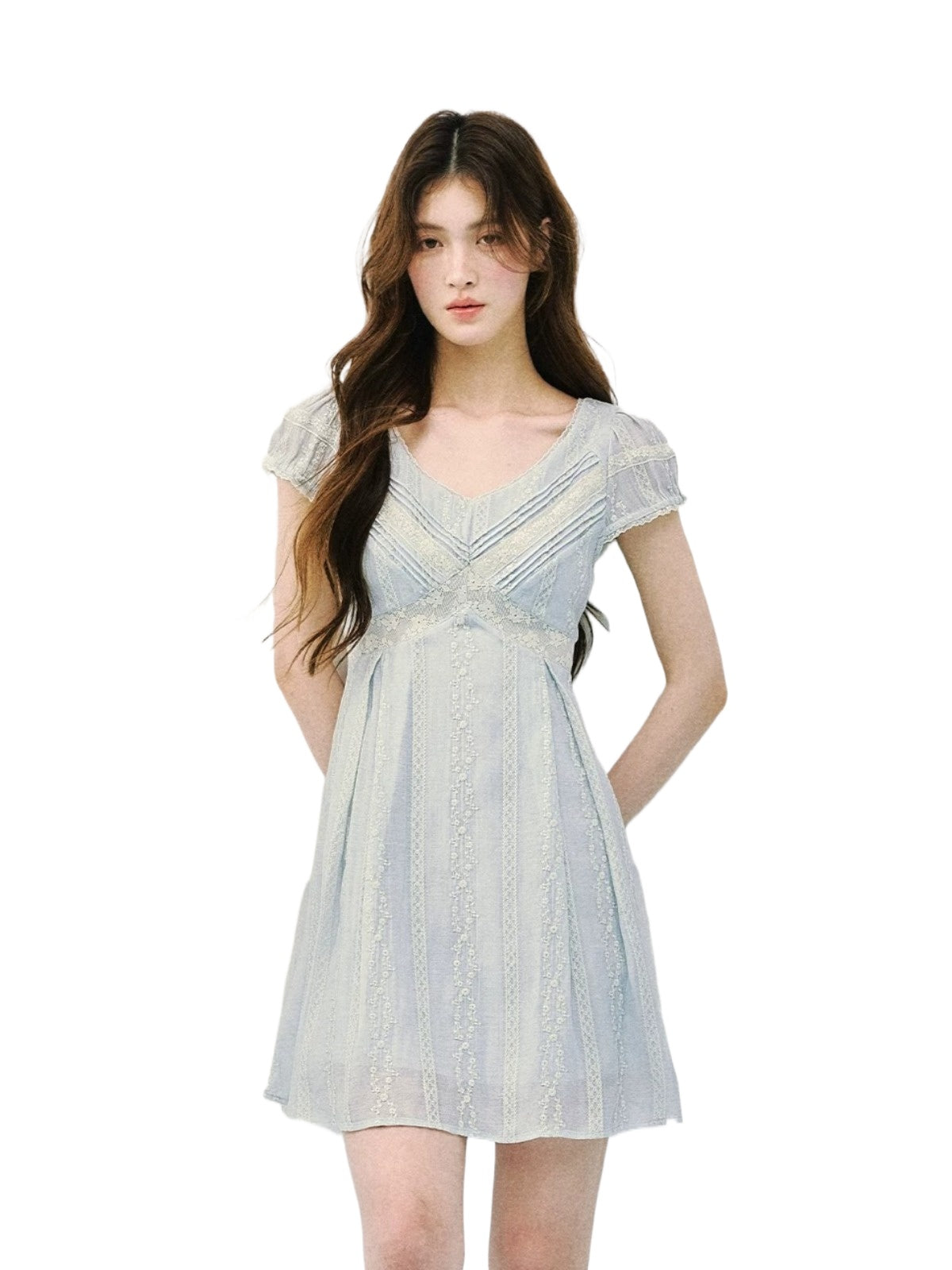Embroidered Lace V-Neck Dress