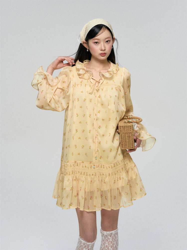 Ruffled Floral Long Sleeve Dress