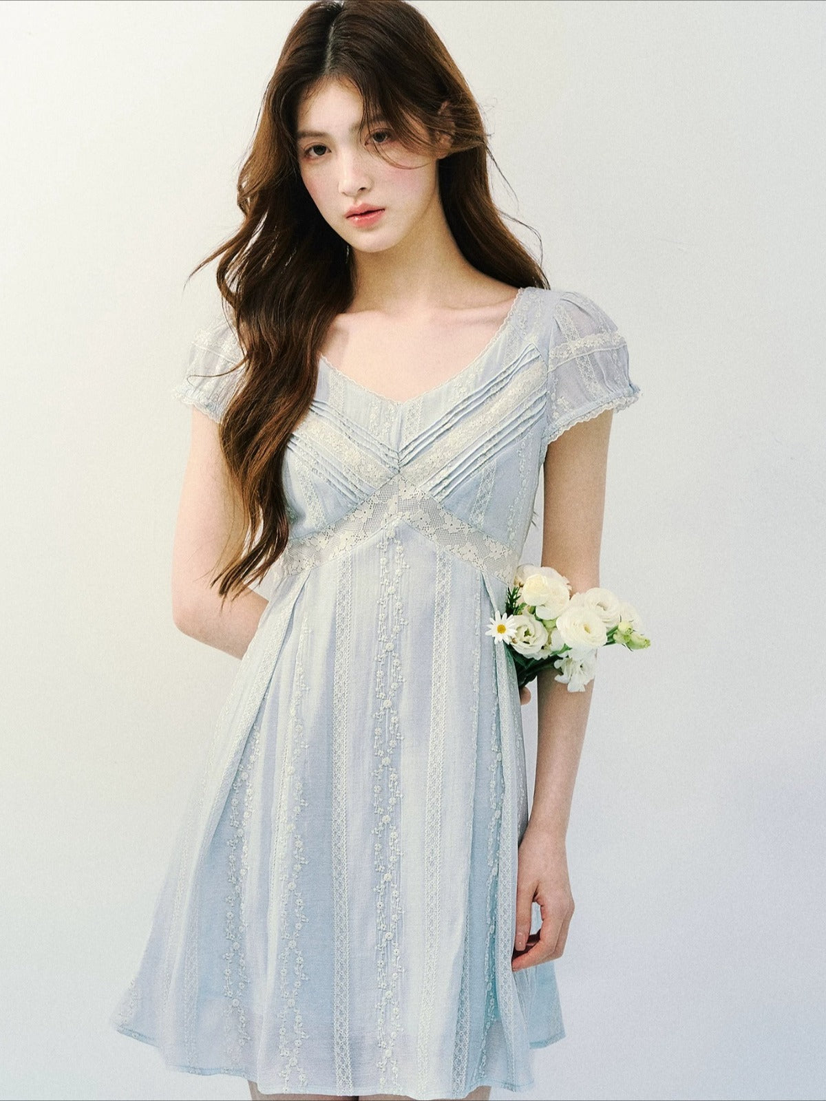 Embroidered Lace V-Neck Dress