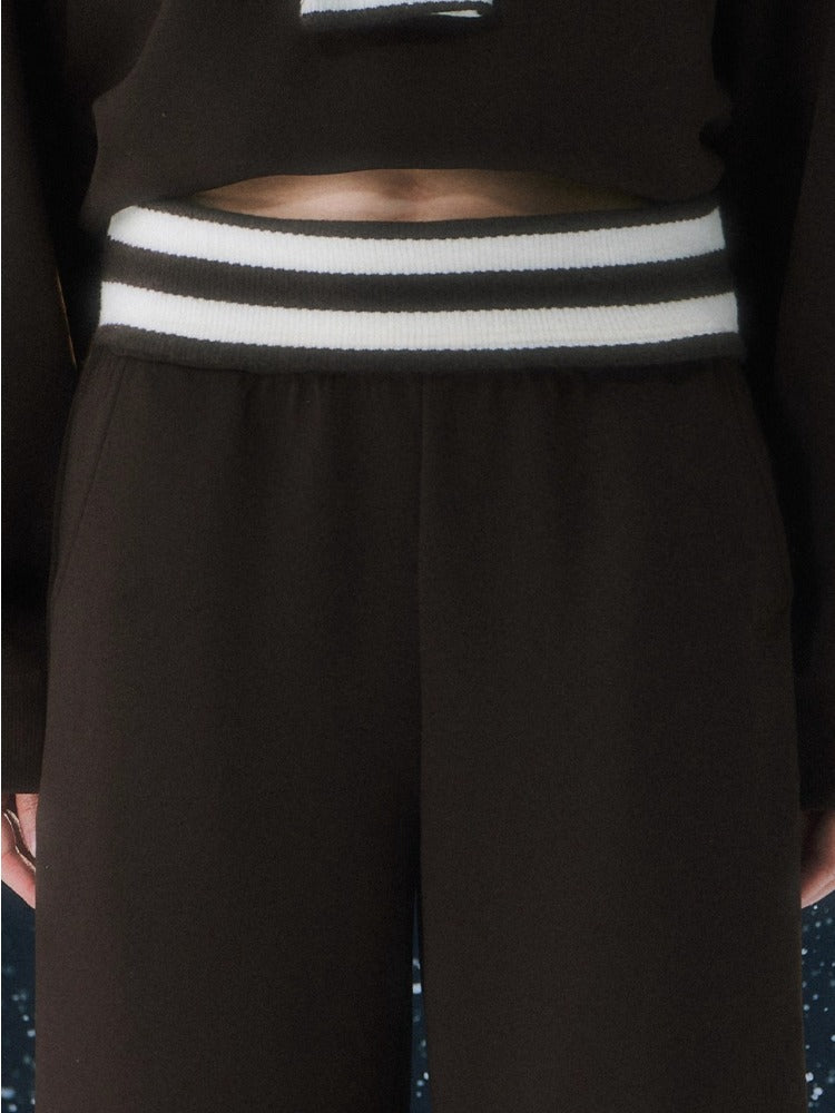 Brown Stripe Contrast Waist Wide-leg Pants