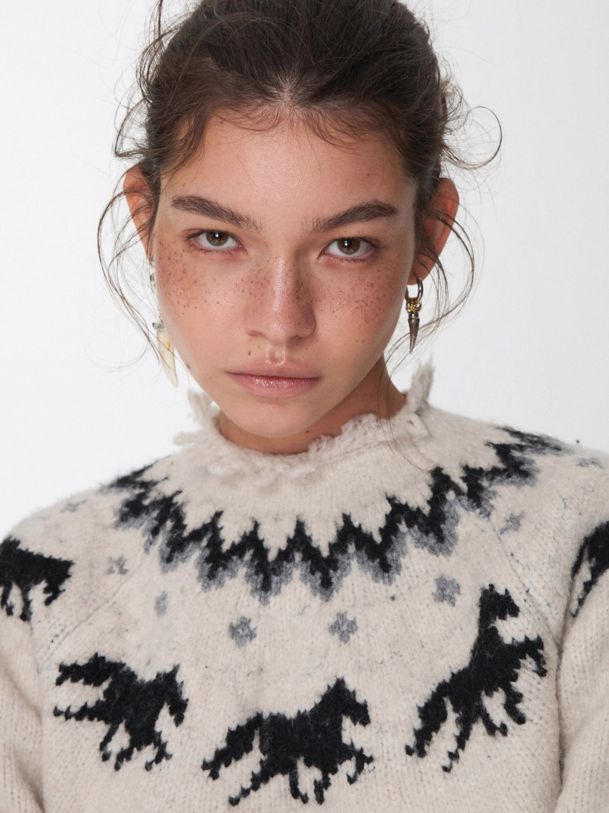 Fair Isle Pony Jacquard Chunky Knit Sweater