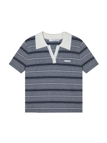 Stripe V-Neck Knit Polo