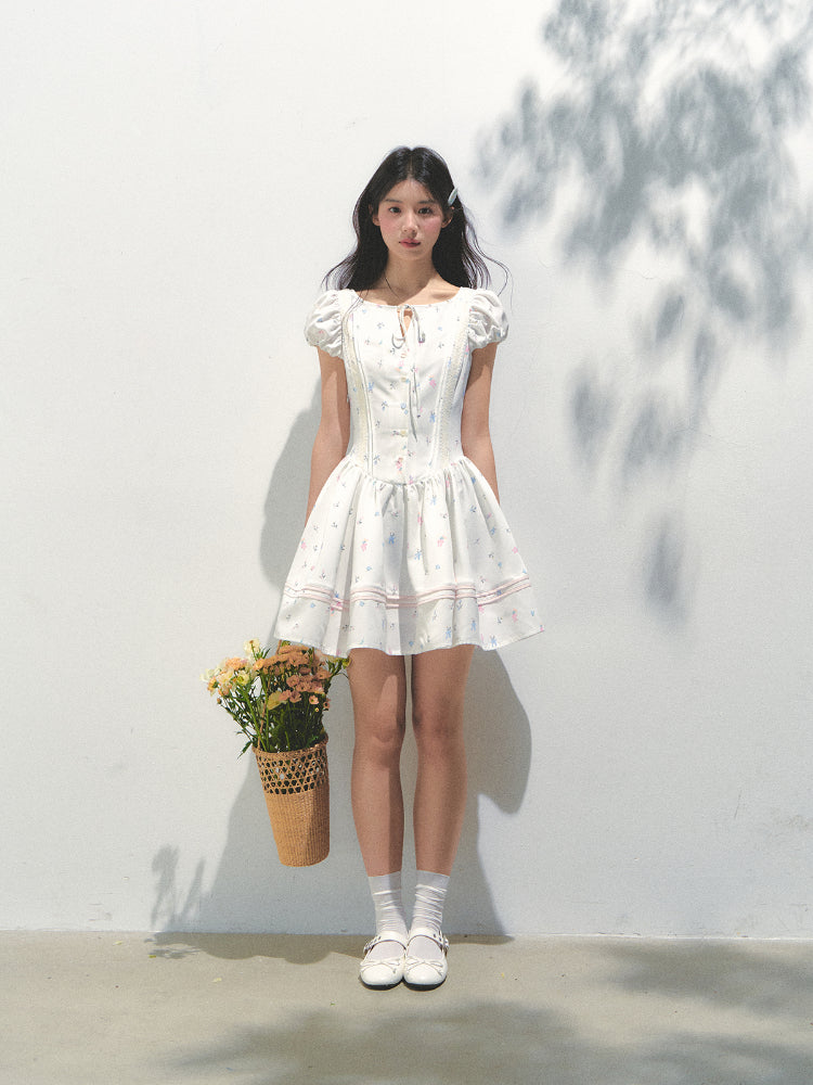 Puff Sleeve Printed Waist - cinching Dress