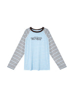 Striped Embroidery Top