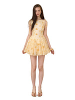 Daisy Embroidered Mini Dress