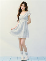 Embroidered Lace V-Neck Dress