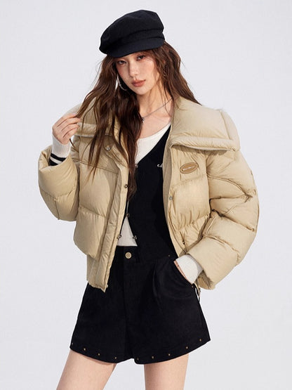 Studded Faux Suede Shorts