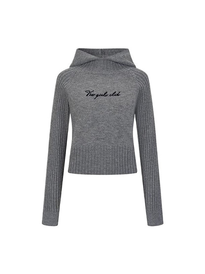 Hooded Rib-Knit Wool Pullover
