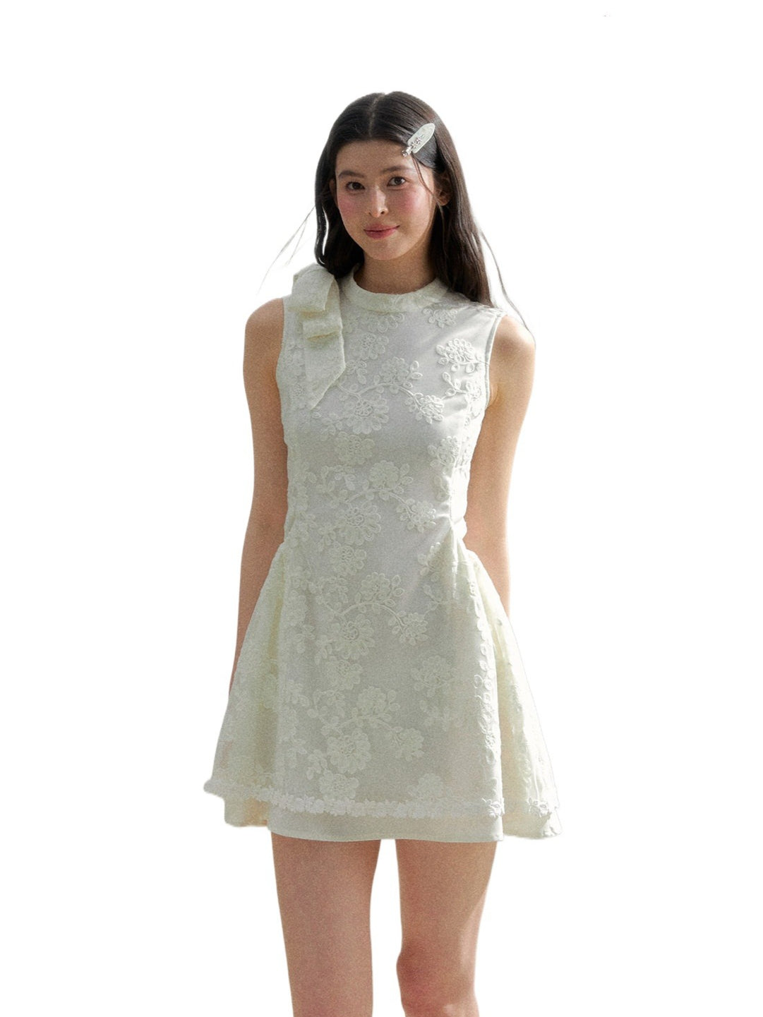 Beige Lace Embroidered Mini Dress