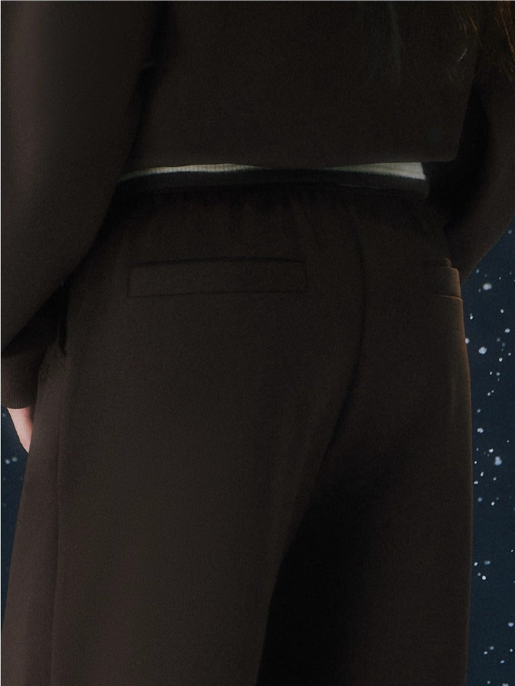 Brown Stripe Contrast Waist Wide-leg Pants