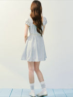 Embroidered Lace V-Neck Dress