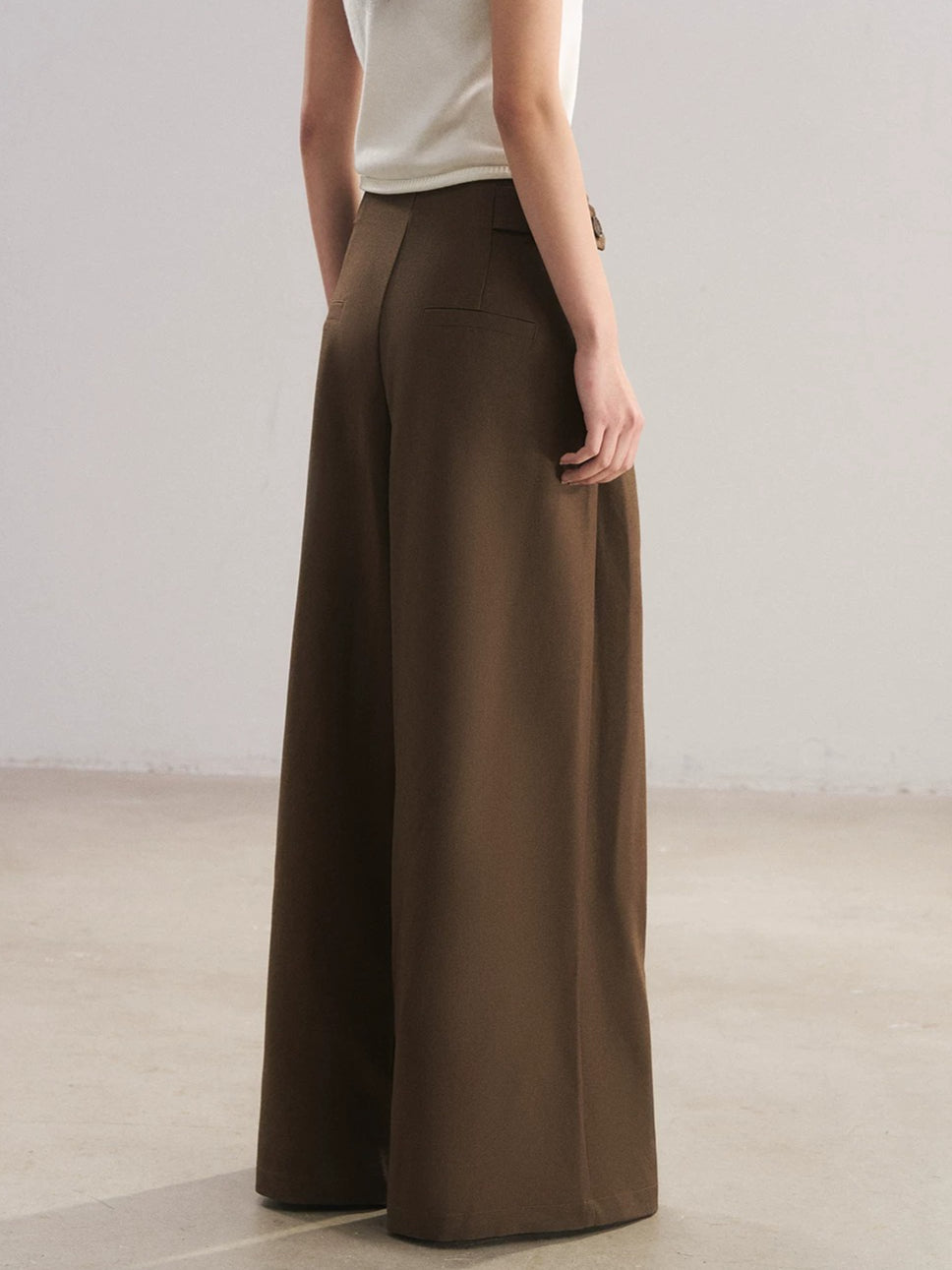 Pleated Wide-Leg Trousers