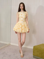Daisy Embroidered Mini Dress