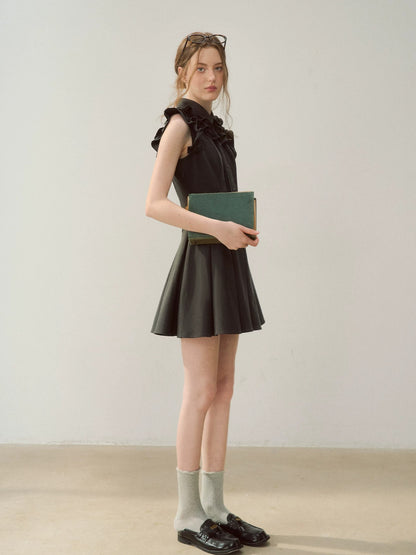 Ruffle Collar Dress