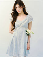 Embroidered Lace V-Neck Dress