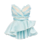 Berry Irregular Design V-Neck Bustier & Skirt Set