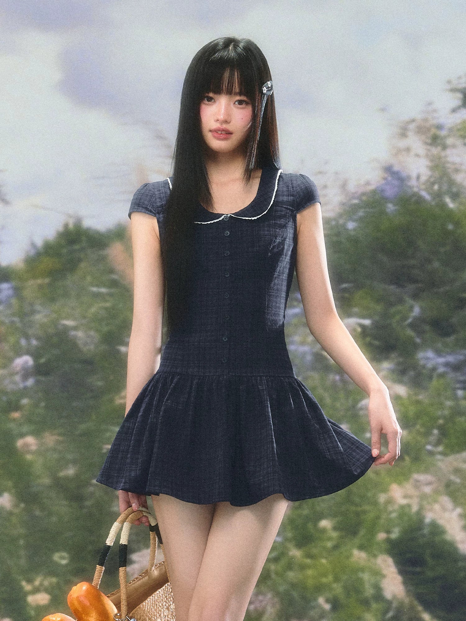 Plaid Collar A-Line Dress