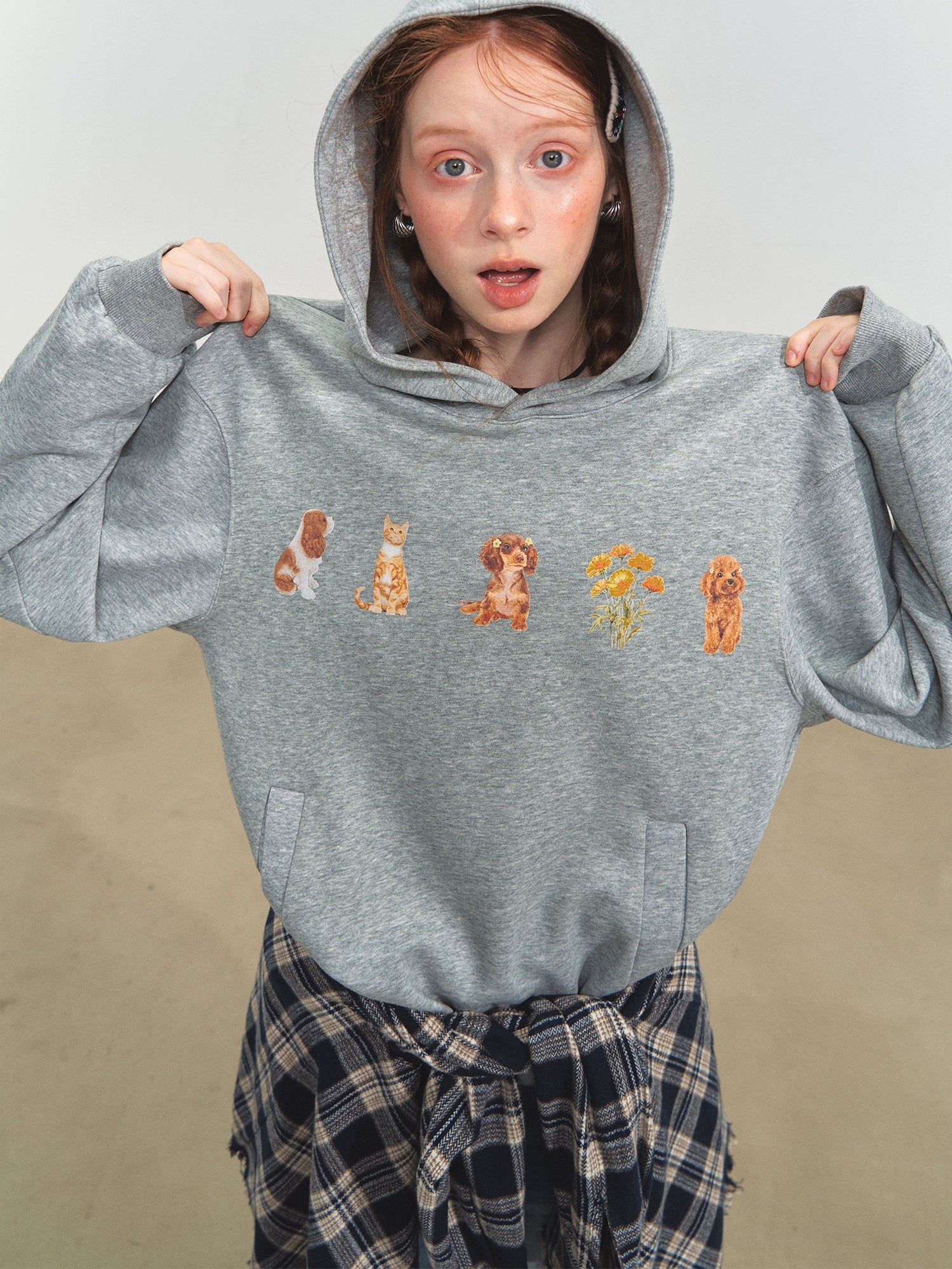Gray &amp; Brown Pet Party Hoodie