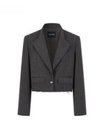 Gray Cropped Suit Set