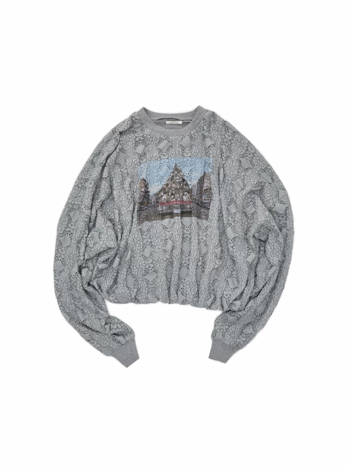 Cat Print Lace Balloon Sweatshirt
