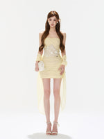 Rose Lace Mesh Dress