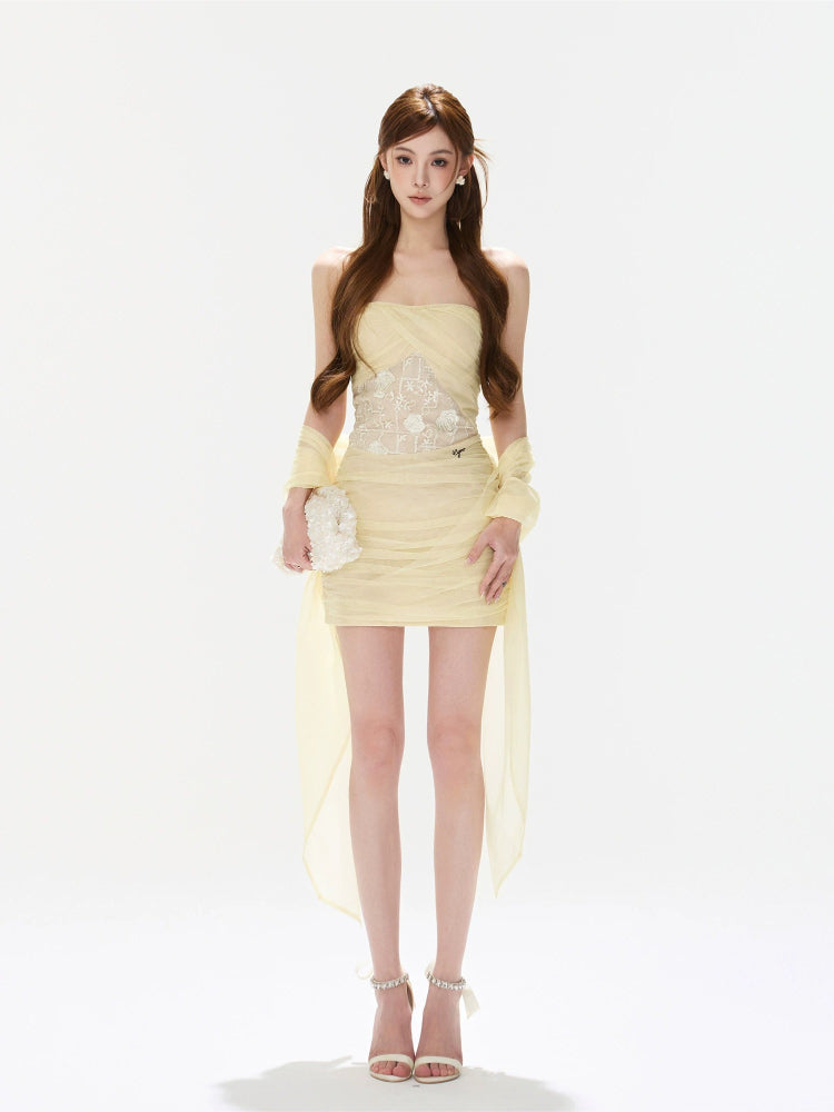 Rose Lace Mesh Dress