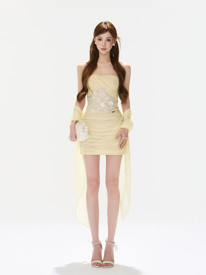 Rose Lace Mesh Dress