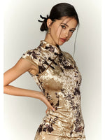 Khaki Velvet Printed Qipao Dress