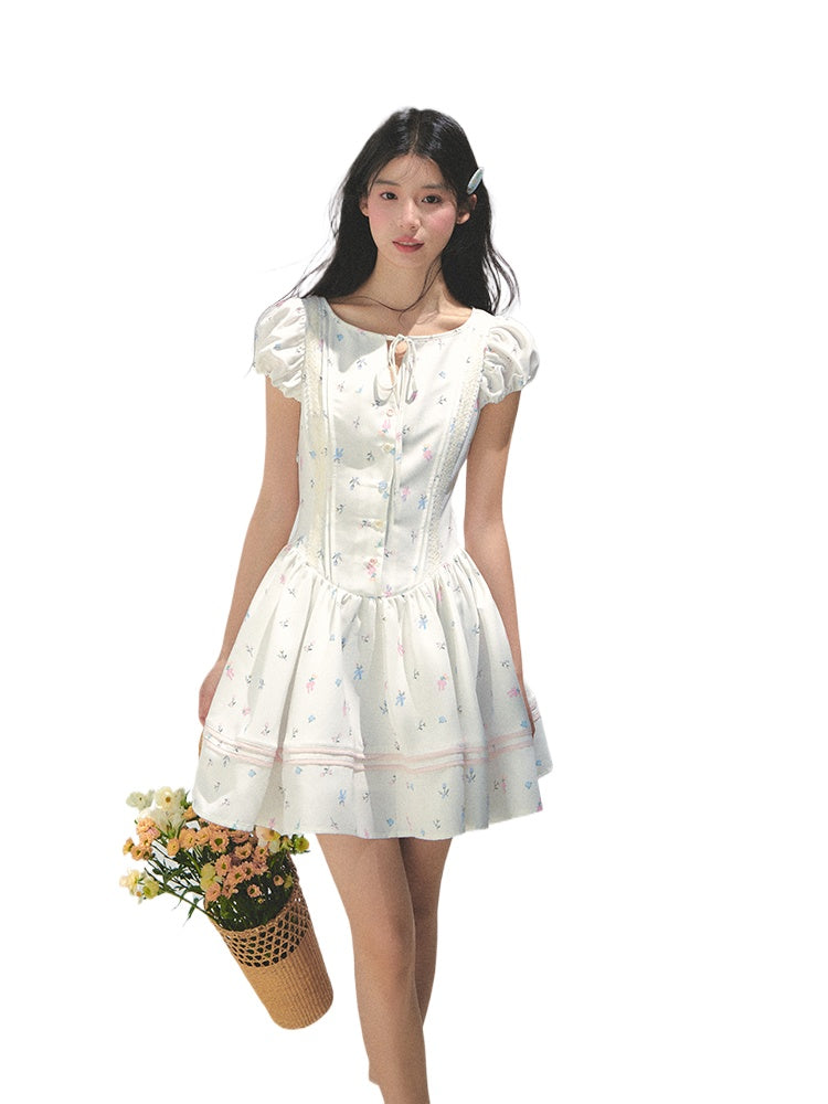 Puff Sleeve Printed Waist - cinching Dress