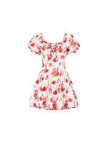 Florette Satin Chiffon Dress